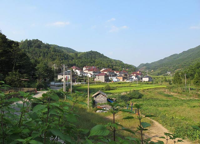 宅基地房屋被强拆